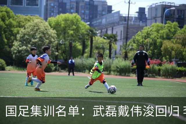 国足集训名单：武磊戴伟浚回归 李昊首次入围