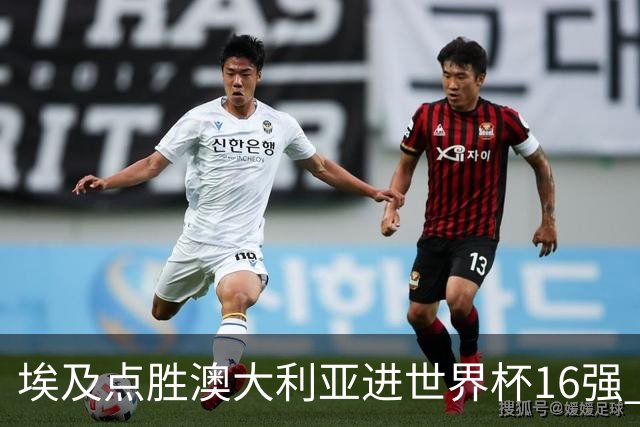 埃及点胜澳大利亚进世界杯16强 亚洲区全军覆没