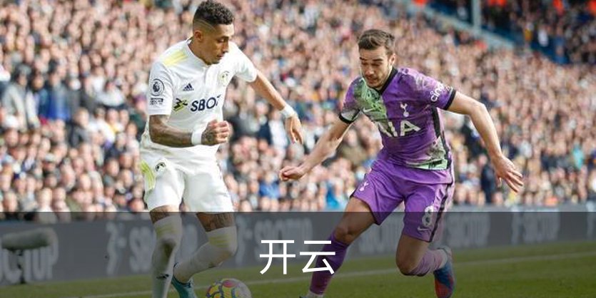 开云简介