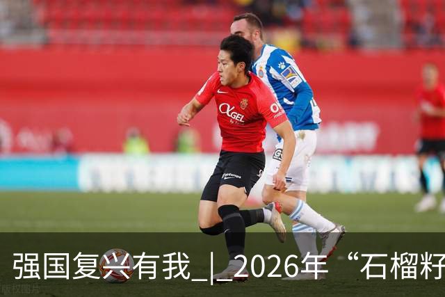 强国复兴有我 | 2026年“石榴籽杯”伊犁州足球超级联赛东部赛区巩留赛场小组赛迎来收官战